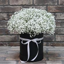 Цветочная композиция из Гипсофила в шляпной коробке в Нурлате
