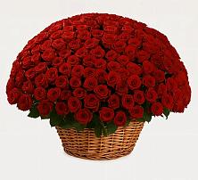 Премиум букет из: Розы в Нурлате